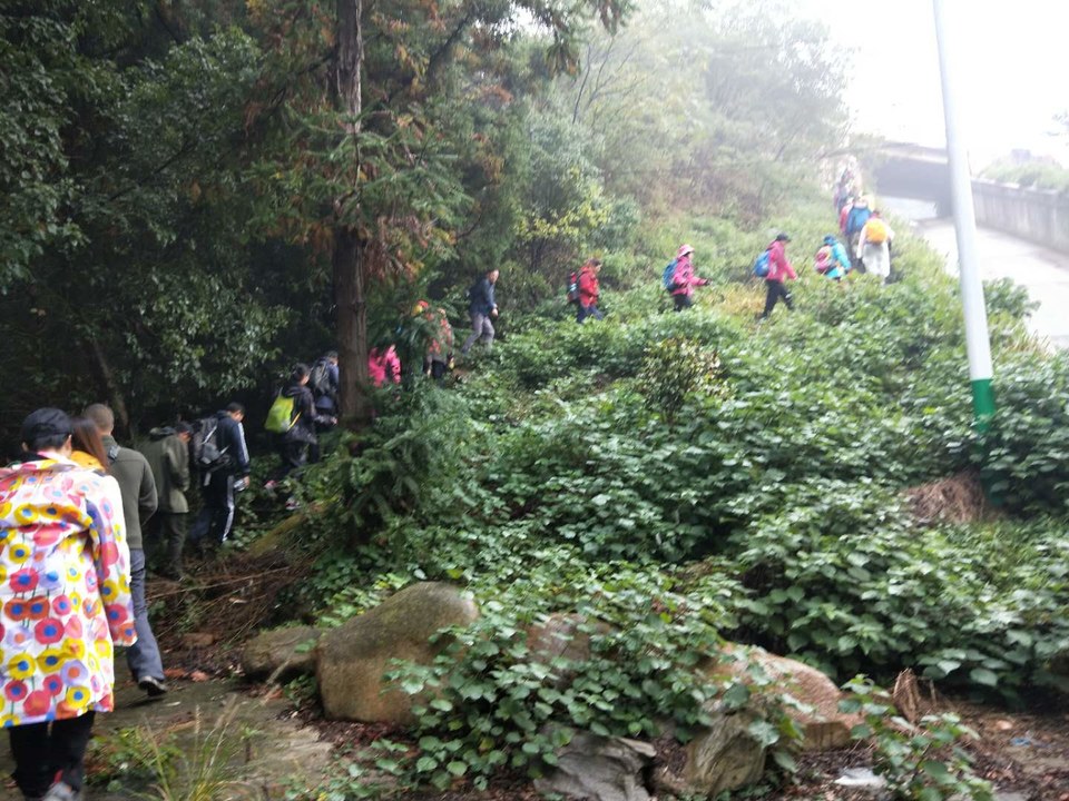 UEdMZFiNfi_L5NTVrx4e5XZq43_8lX-J_kUoMm858pL9PfHsBYjzz43g8PZ3_r-c