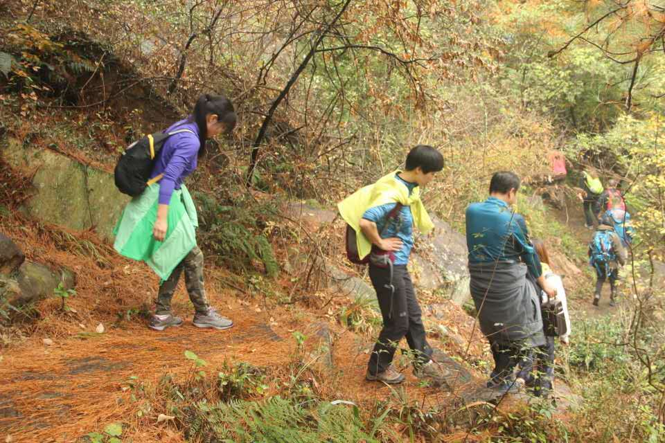 5gZoeX8y4pTA78mZGZ7R45dbmT3C6i1I9CVGoYcQoJ-Ban1kCz5W7I4FpwQulxcS