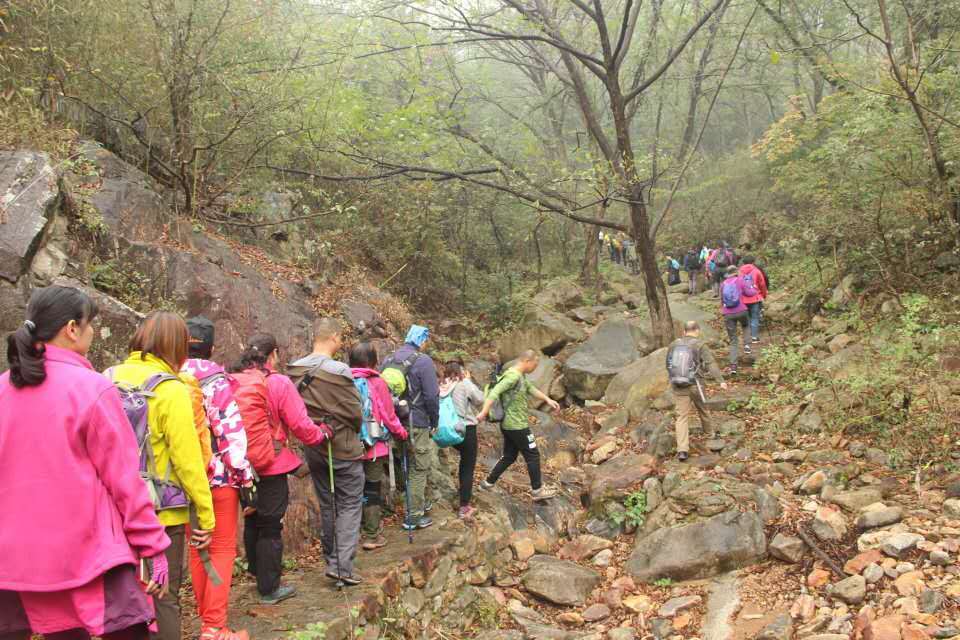 AW-E4ts17sKcenc5AWGJRydQprEGpRX-jdJ21qqbFesDJJcpz0J-UvnBZNNQa1_H