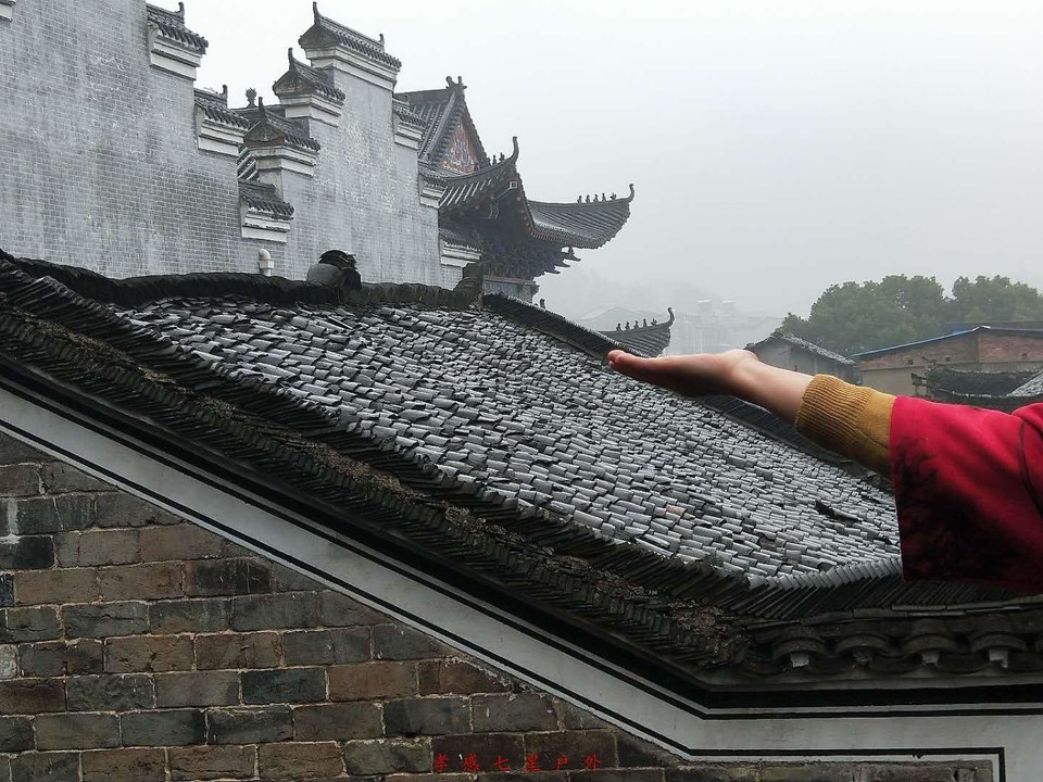 5LHJ1eW9Prc4dPhCcRO3oilo9gxKyF9qqg5qJg_Z3rzsVKH6RWlMGmlpnTA7aXq4