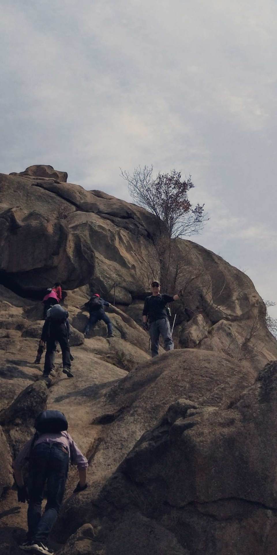 M8GomTnmumXnXQi7CWeyNgJzYF9zAhHDl535DE9ycTn6BZYHyd3LeScarv1S0rxC