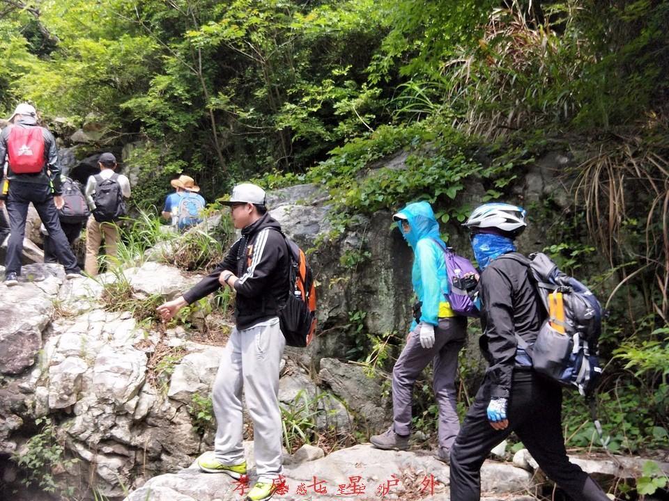 mmexport1527073126950