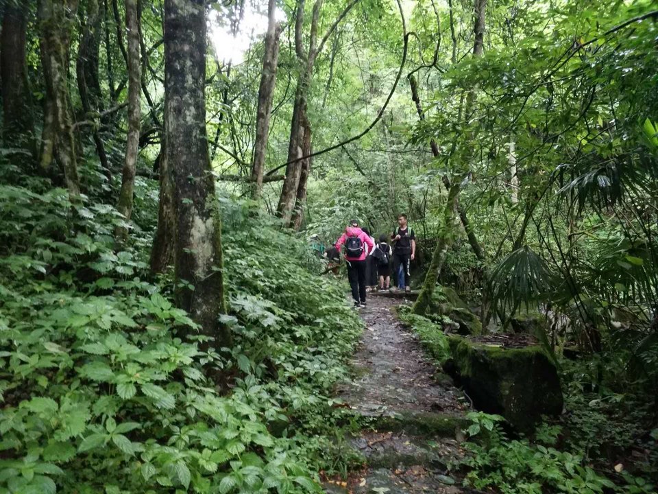 l4aK2crE5KoRjtPPmyKZzvt6cHhf0V1FfVJxKw0OKJuALMJBRKunMNtED5pToCEU