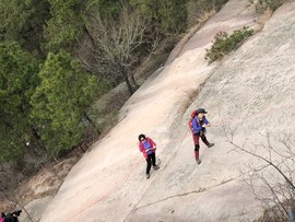 BD234561-7CF5-43B2-806F-3D5BE99936B1