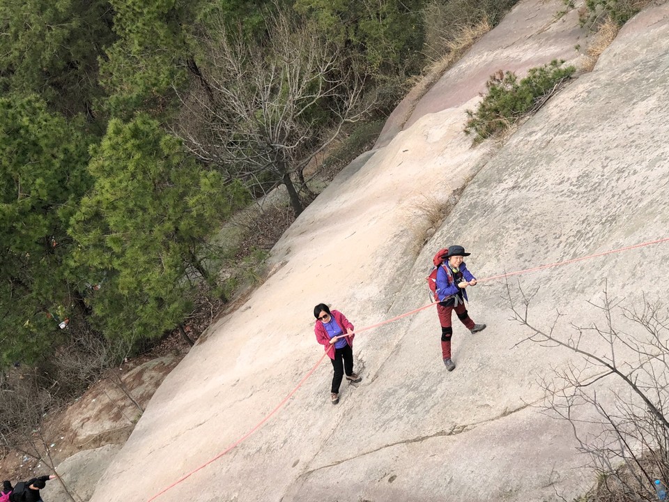 BD234561-7CF5-43B2-806F-3D5BE99936B1