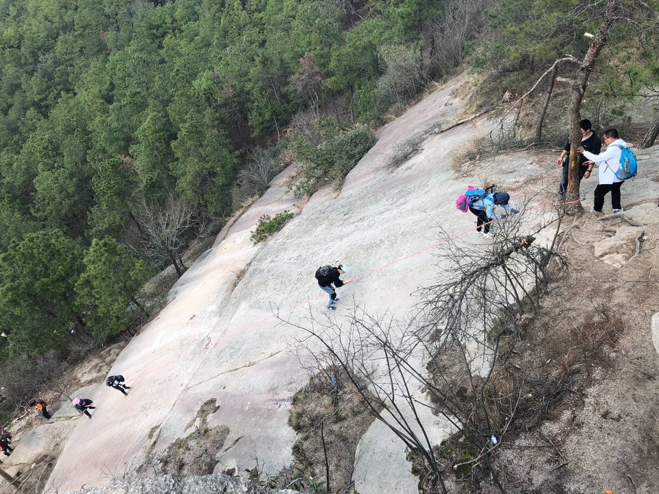 D6854584-6886-4D3A-A44D-7AFF8F2E6CA5