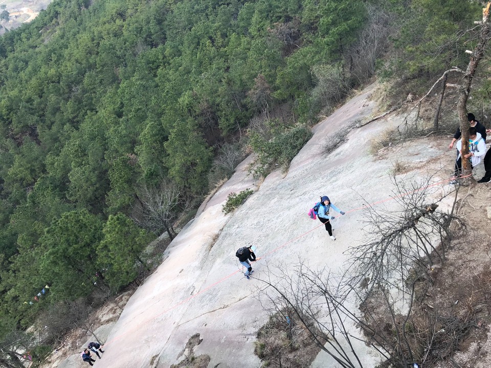 0B5EE4DC-9650-4313-8CF4-086B178B5919