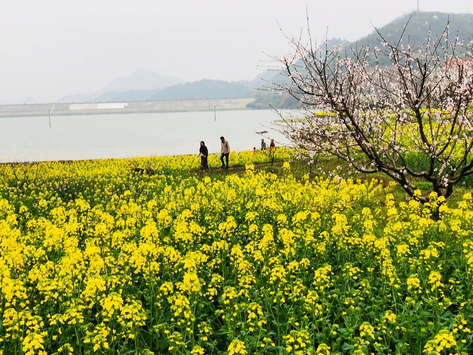 AE89A5F5-A962-4BE0-8A35-D5B2AD4D9ABD