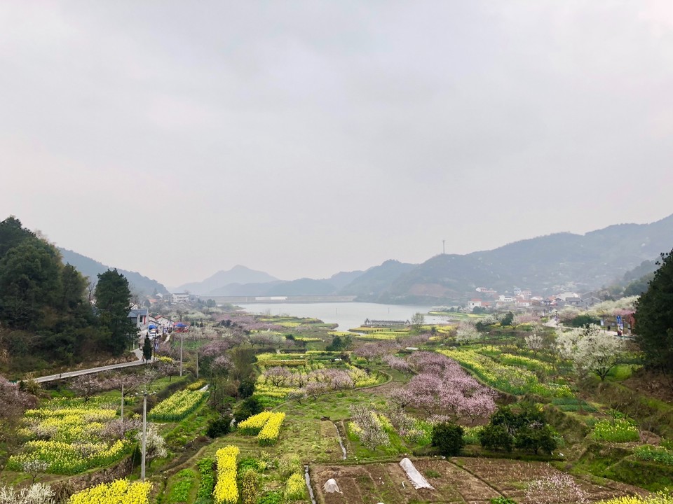 78173F9C-C7B4-47BA-8CF5-E9C3C4D13208