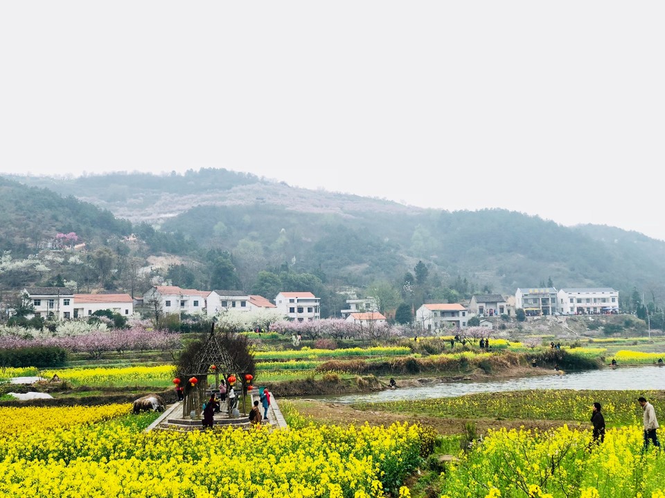 50028EAD-2A55-4375-BD98-0AD9DE33C16E