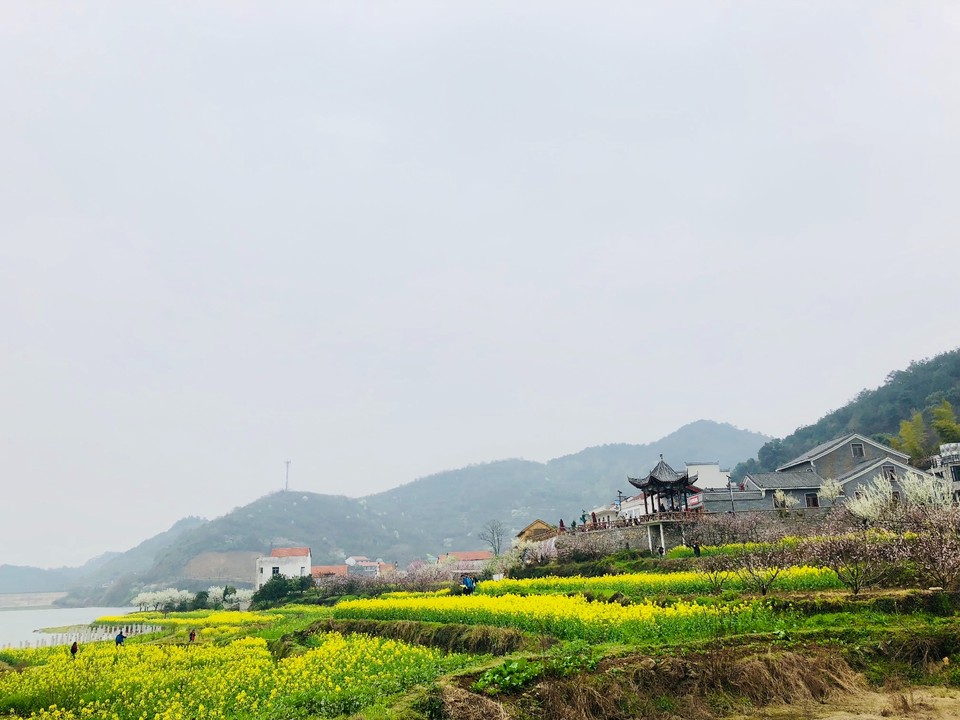 94AE65EB-D414-4EC3-8627-6F5CEA927DC0