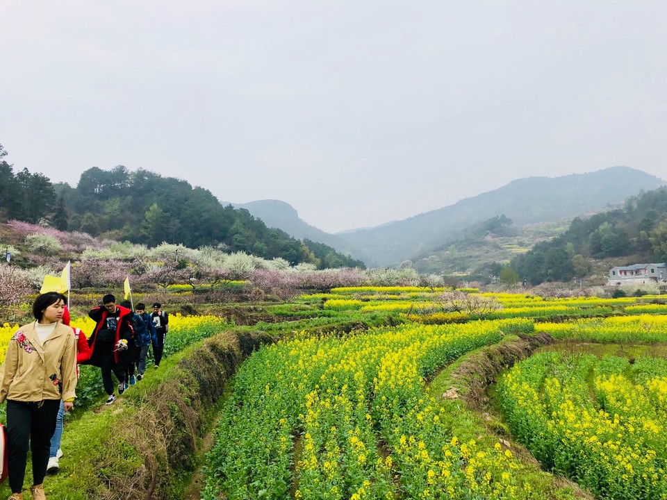 7BB9FB0F-E8EA-48B7-A87D-450B5F475D26