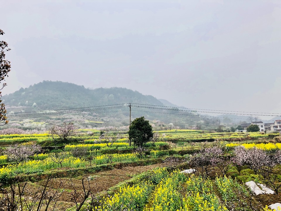 5C11094B-E8D6-4135-A070-D52D1D8191B0