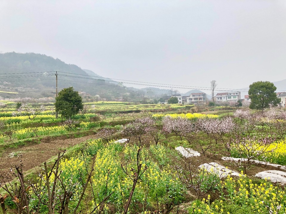 56F072DF-9920-4186-8574-C429BBDDCFB9