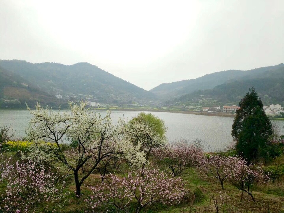 3A52E607-2B5D-4F08-B58A-600637F61D61