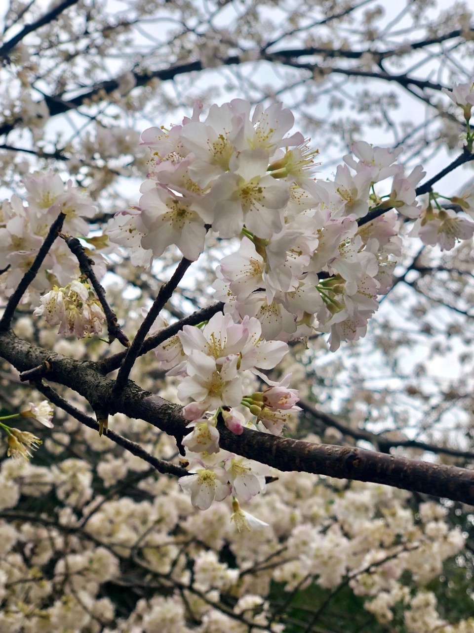 AB09BEDE-A91C-4102-95E5-5A3C540FF393