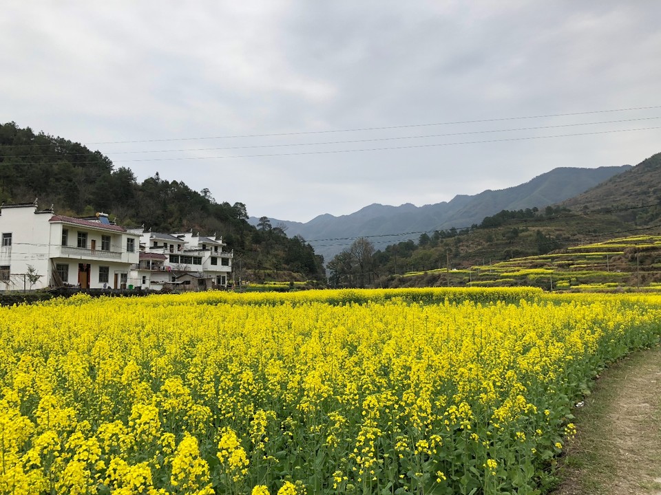 B7AB6A54-829D-4C57-B432-3CB94E99933B