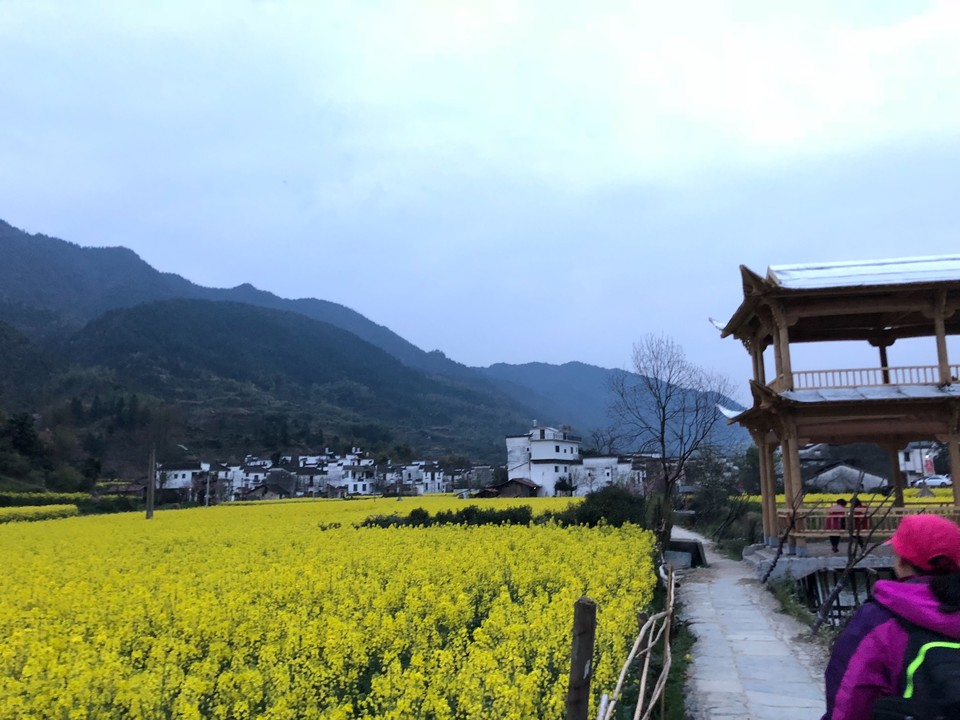 9C60315C-5EBE-4217-817D-8D539CA751CB