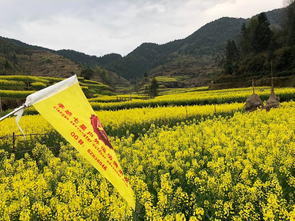 CA3E2CDD-9707-4FE2-B2BF-DF325F7C608C