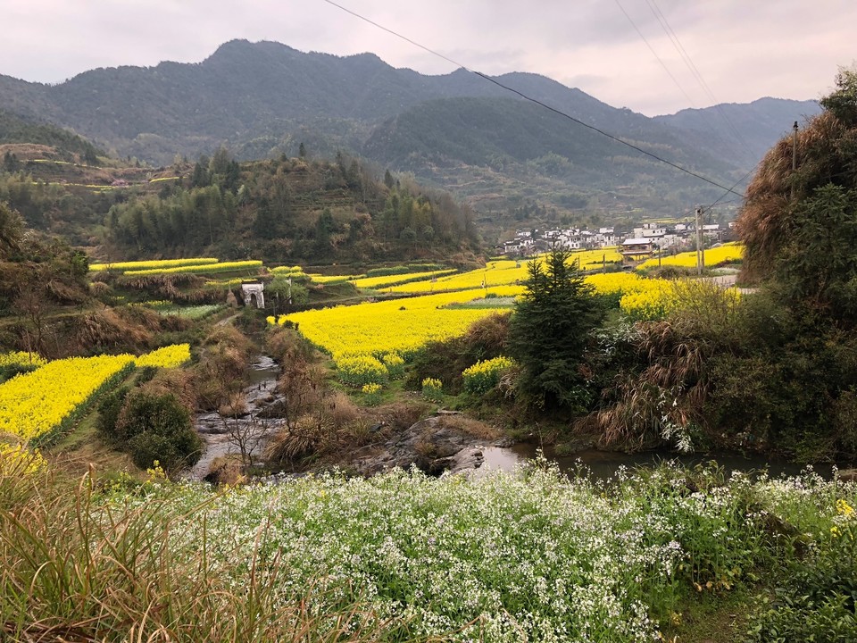 5D0E95F6-6D95-4EBD-9E2A-F07B70C2FEFE