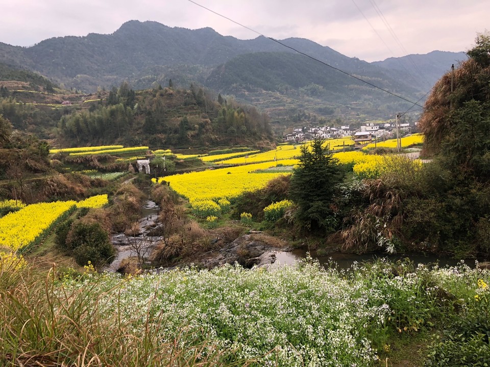 6BD3A738-6BB0-4D10-B256-C46A0BC6F87F