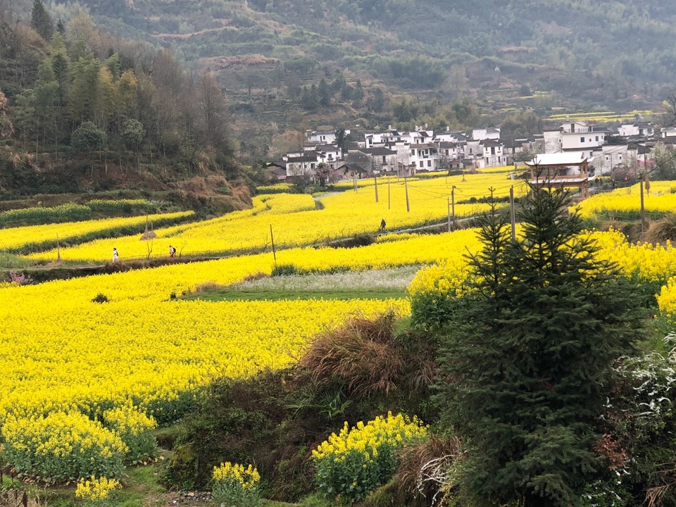 040DC483-3D82-4F79-8E69-0D285AF22D0A