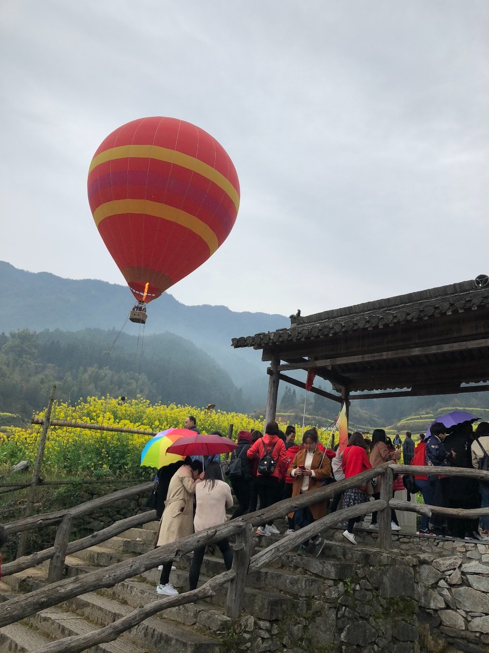 E9566873-4212-46D2-AD4D-9897DA8A92CB