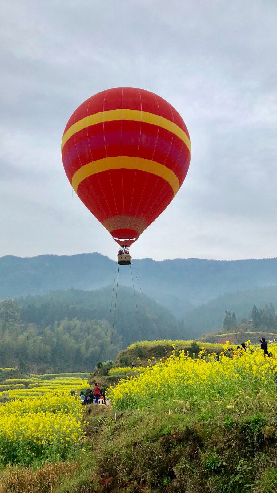 A252C770-DD2E-4D6B-85A6-FC20ED8BF88E