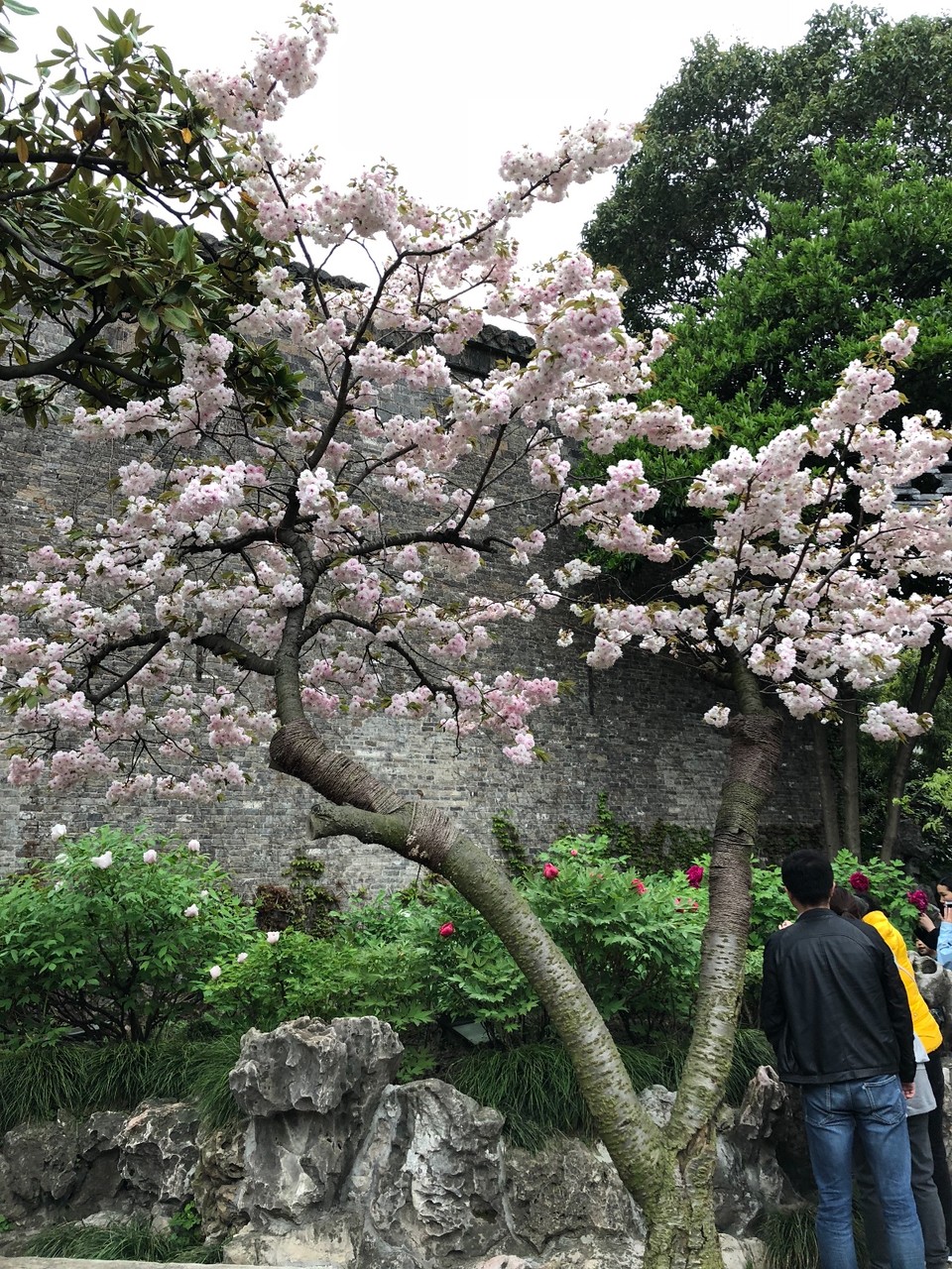 9C6C9E1F-E05A-4CE7-B3D2-660B15C0319E