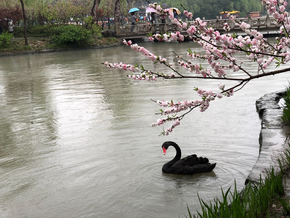 77B9B8C9-2352-4178-8D47-5D83EE8146C1