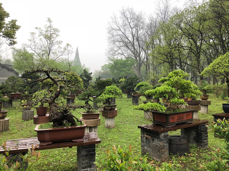 8C95D397-FEA5-40BB-A4A4-CB854A88AEB8