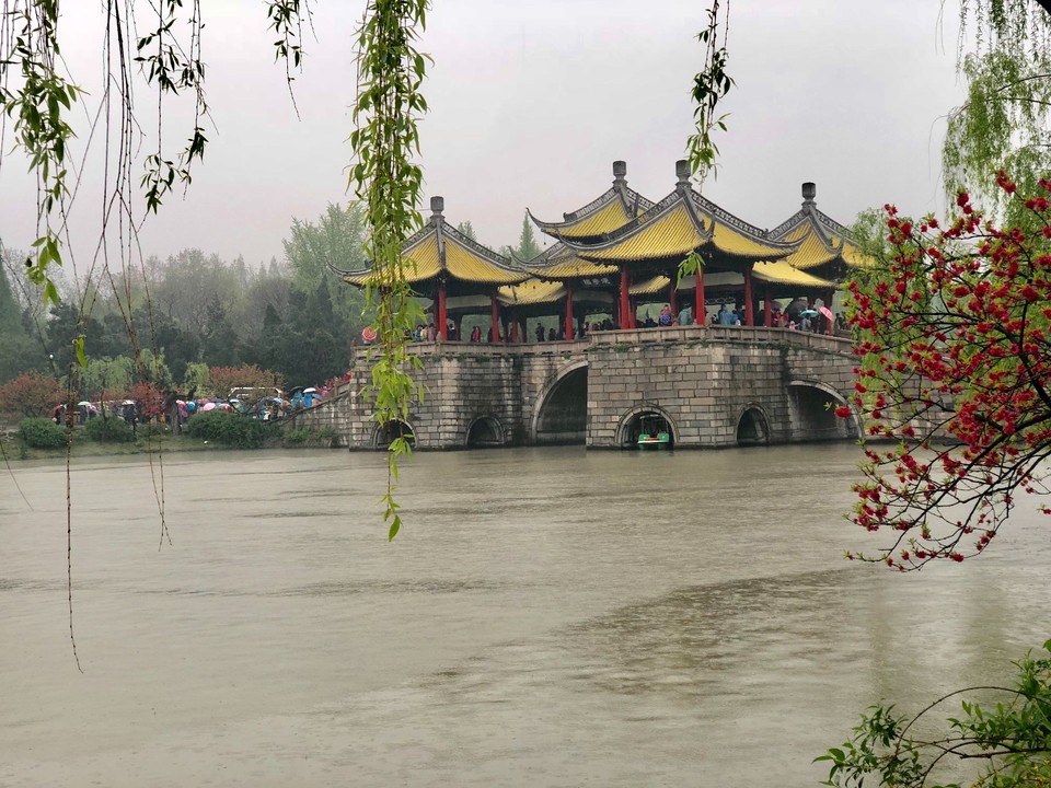 F155A021-AF73-4361-8FDE-D88ADF95B8A5