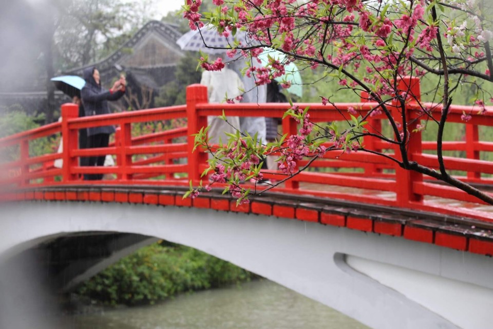 EBC864B1-5D69-4D36-AD60-3EF20814F424