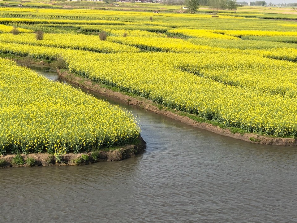 75A9D1A8-8C6B-4BD2-B741-1C03612581FB