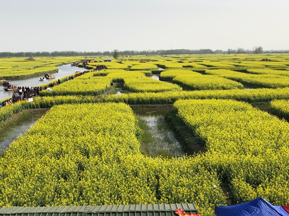 FFD9A593-5B1C-4F68-9CE9-EFE180F762A6