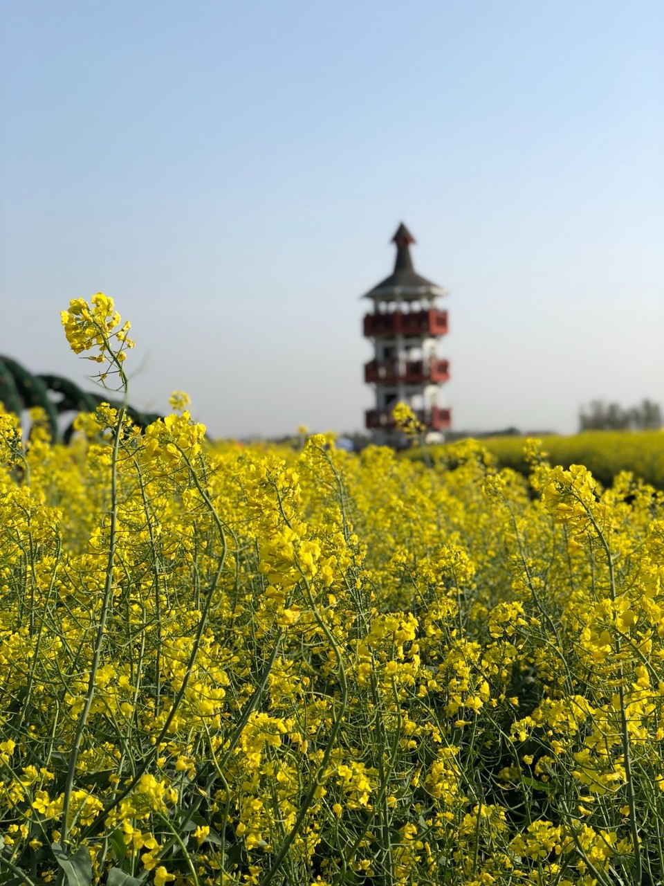 2010AD58-A245-4ED4-B035-4CB08E6797EB