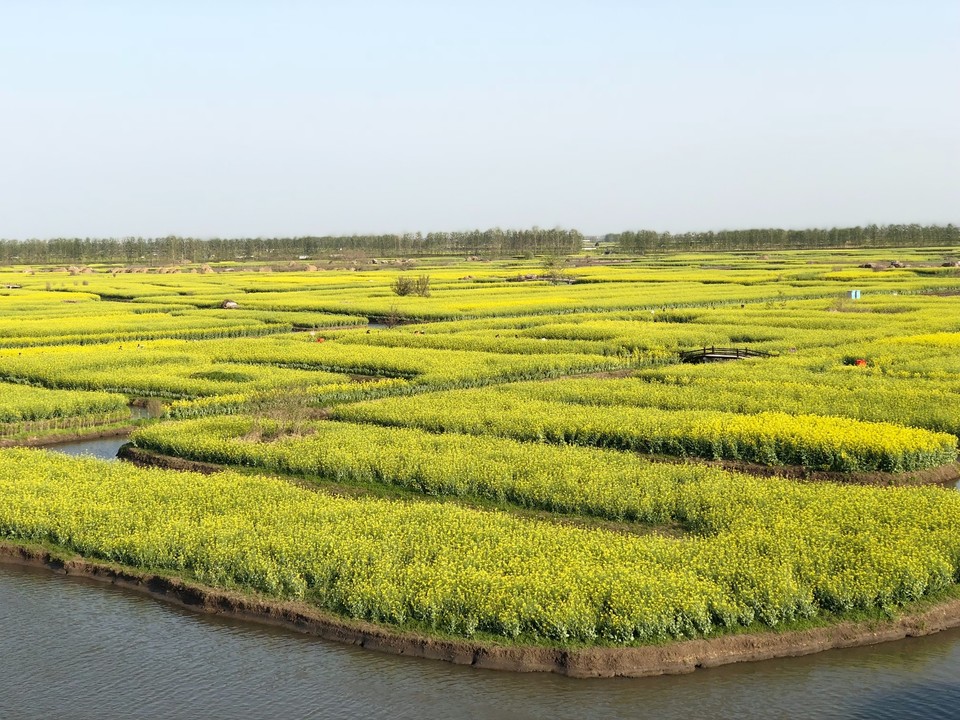 B7ACA93B-C06C-4EB7-9CE6-8F07E36101FB