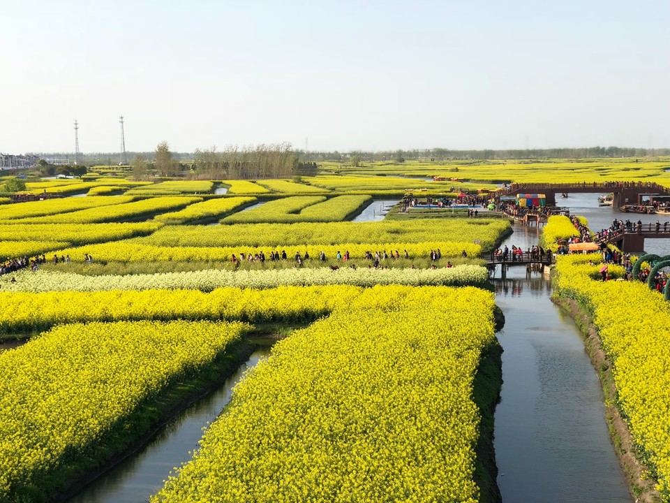 54E81A52-C877-49DF-9B93-7E3A42BB056A