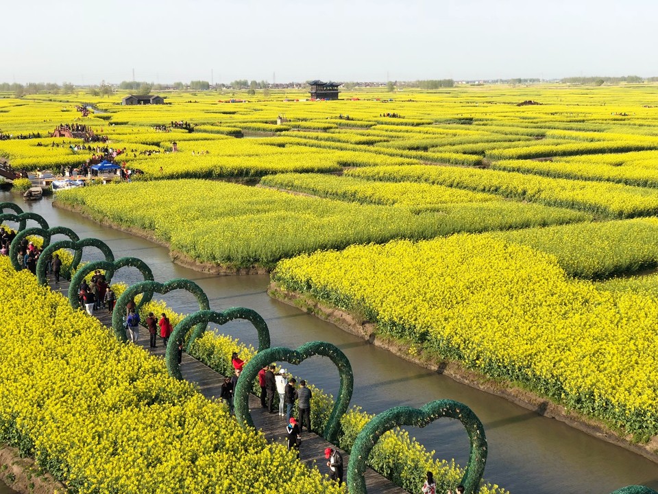 ACDD80E1-5BCB-4CC6-A98E-83DCED6CE5F7