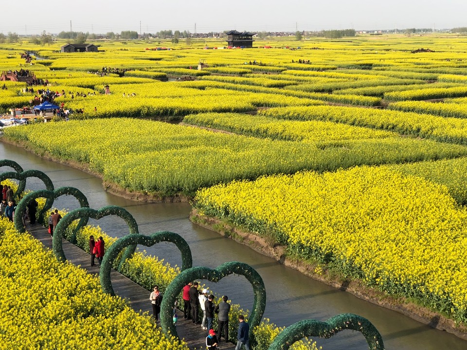 F8D66D91-2D35-4F18-B6FC-11449E323708