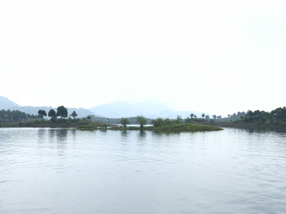 9DC24F31-DD91-4A95-BADA-E1BF37C137DD