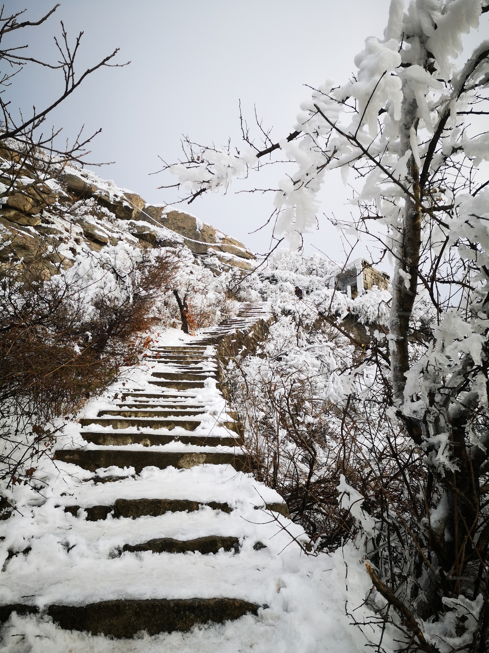 mbstJk5_lcxSHG7EeT-EFcLrV8gK3YYEwEpoAujxfPx5N_xTE0fsE4iF2NU2RxG6