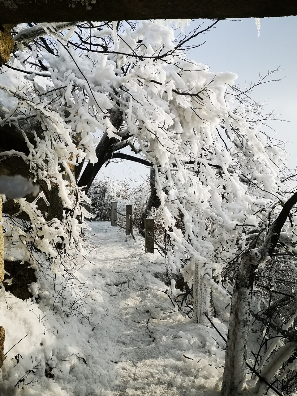 biXWy8BP8KqO4McneZfXV4Tkw-fYg4VjQEKmYp-f12grnnUiZbMMI9mBJjVnPF8g