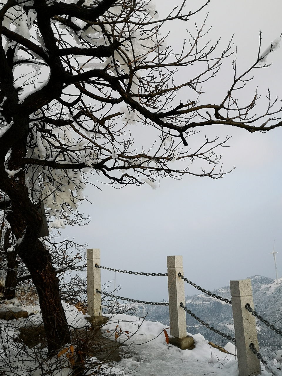 jetzocyjnwQQhJzgnOxJaYAfD-b9-eUJfSNFDcDfGRbdNWndjkn_Jmq810OaX3W-