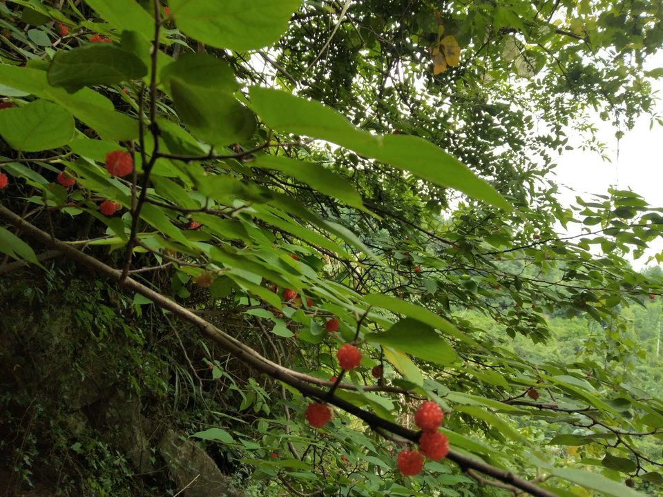 j4TAZ9ewh9bwUV_fRZIkmI4TxENGYGcYasW3JDrKGFjL3Cs8HXunEltUMQJa6Qbm