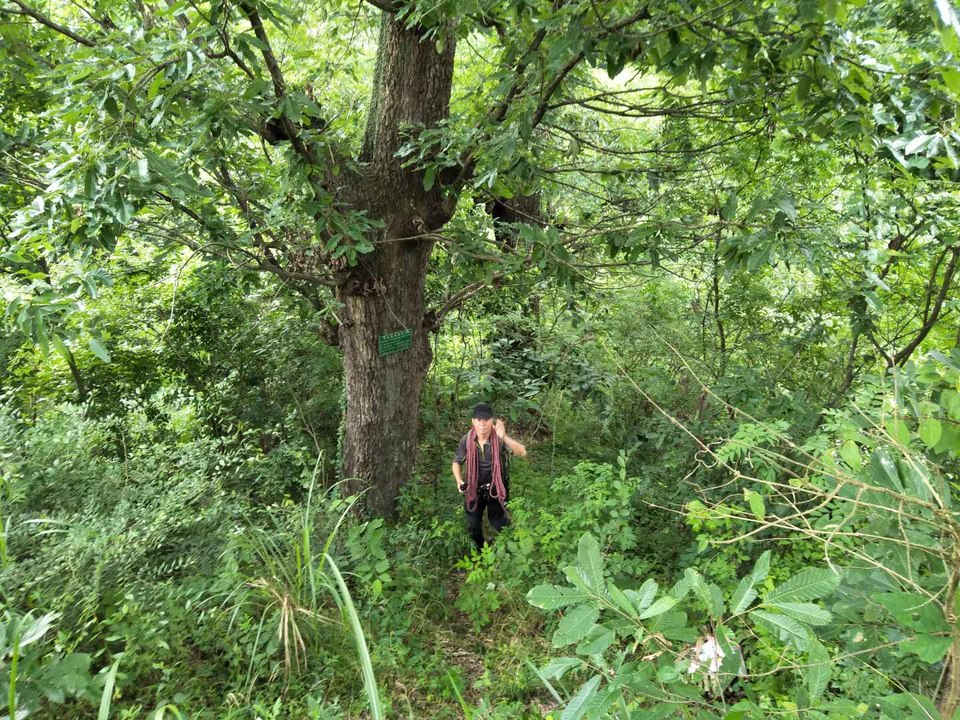 4qWOlAWD0DsmnP-bisAJrBoLrnnMzhn1yPffB5x4wKenc2OpK6OlTElgk9nqCEZx