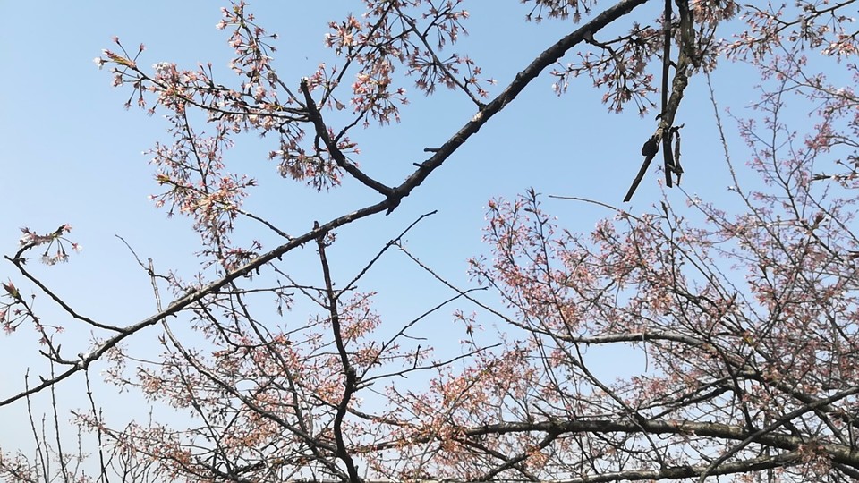 wx_camera_1521688276674