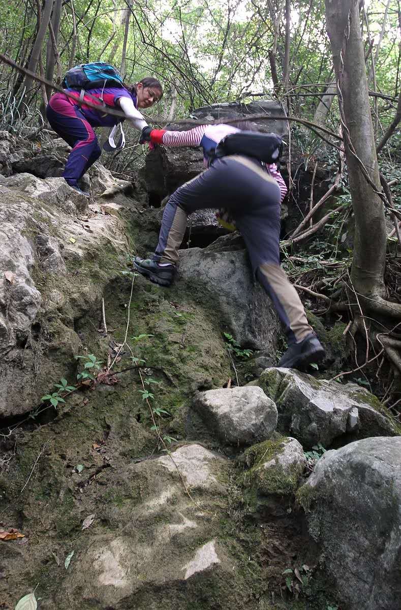 VN1cT3zbevqGNRwGuiRi4gYJA3gvBYOXDh7OM5C5bOpFIuE_NGuo0-1zwhzyWXom