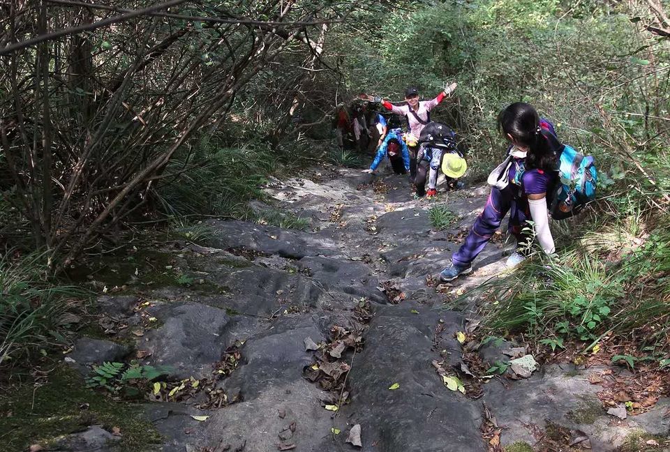 Fatm545T0zIKph_9W-fSrTaZ6nhfkIsqoJlgeu806ZmQwXUjlumq1M4XFGLpdi_n