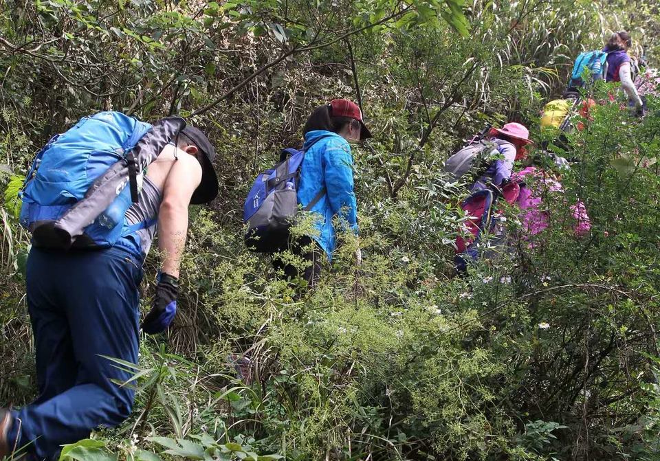 K2V4iSMXSw5muIn8wz5nMiky_IqT2RvQ1TjF8Dv0q7OB9sHMAMks86Ubu7zX3lZD